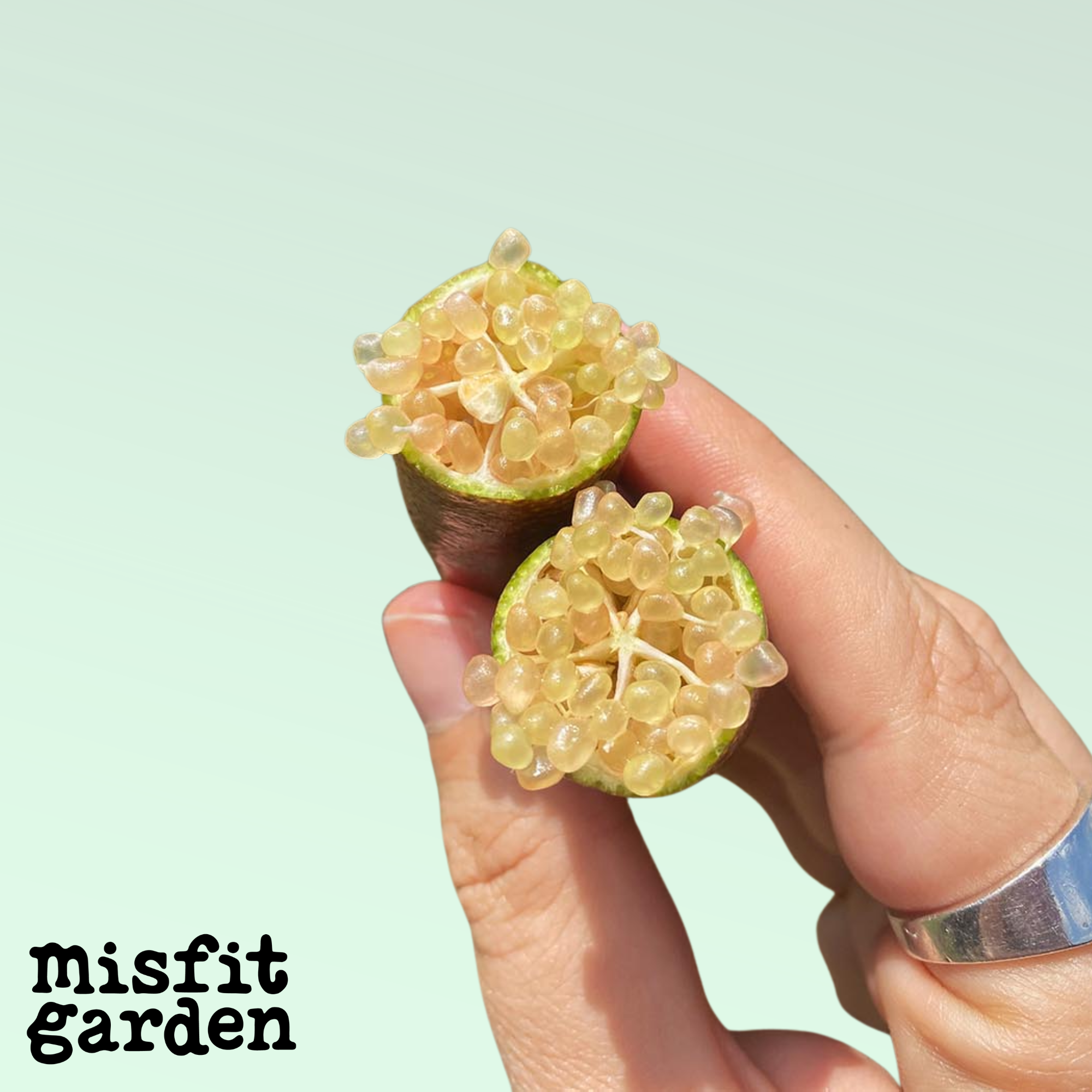 Add 50g Finger Limes