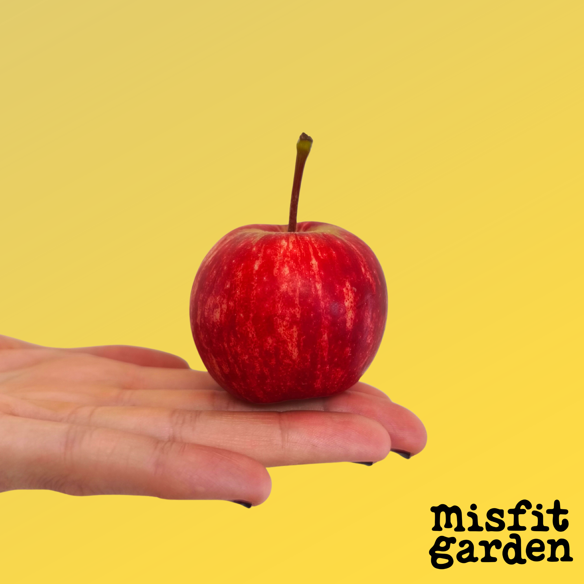 Add 1kg Red Apples