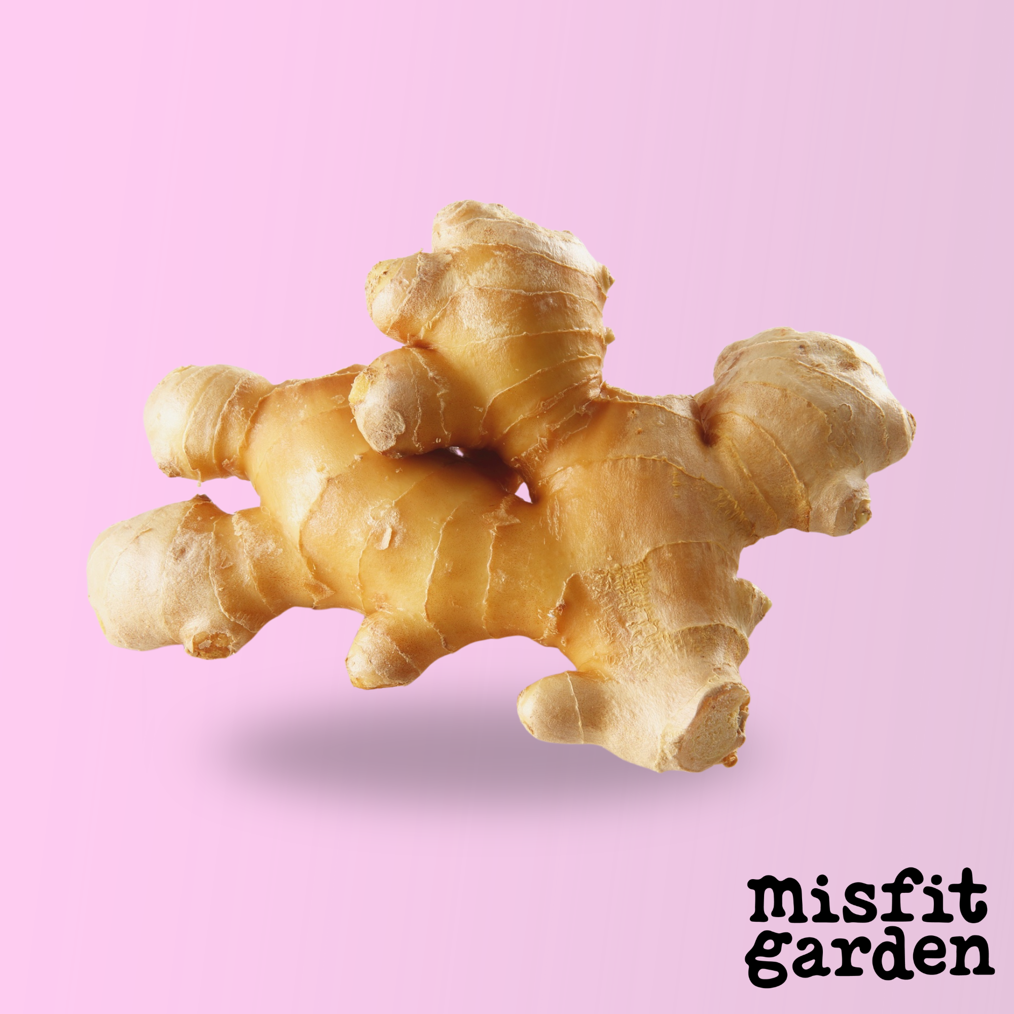 Add 300g Ginger Root