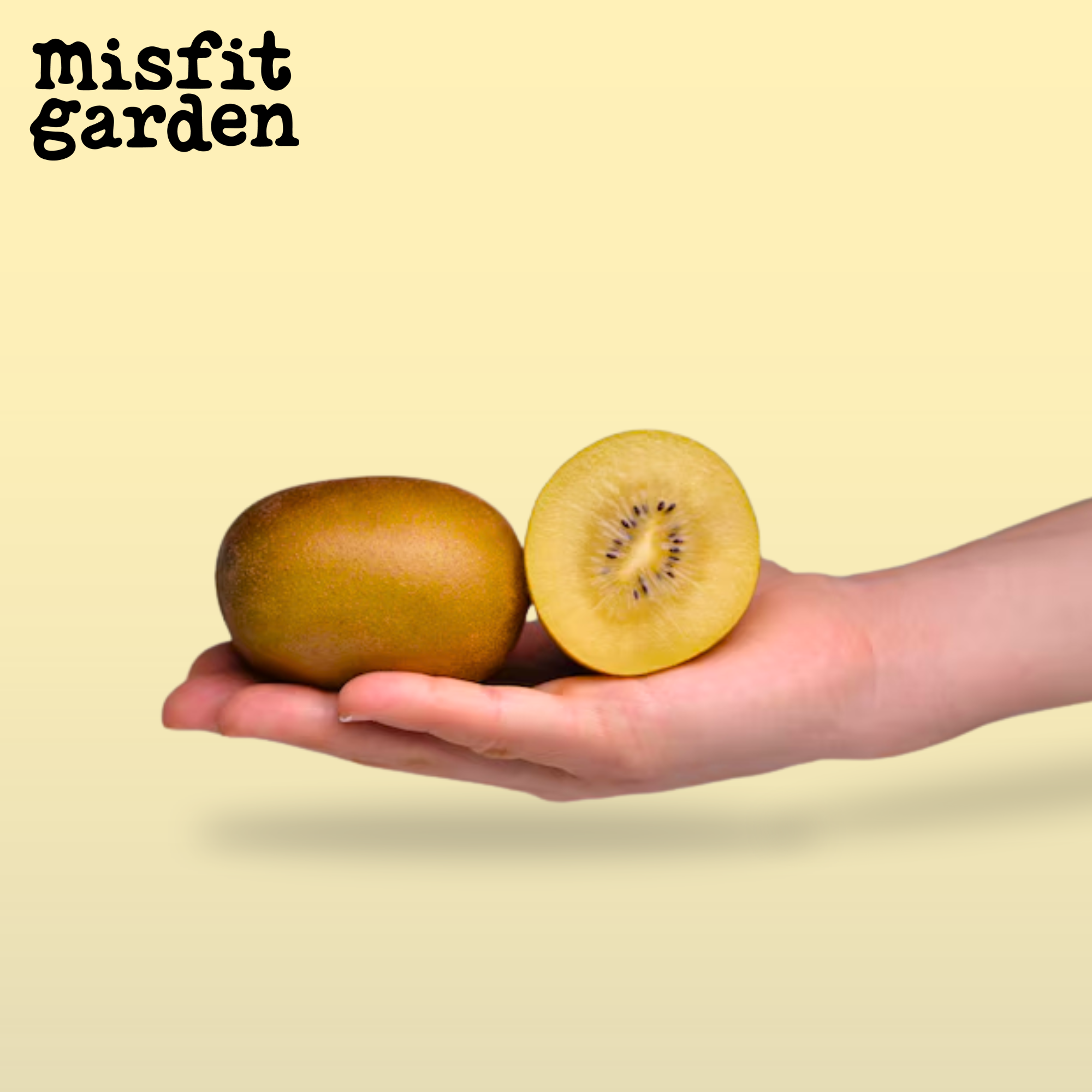 Add 600g Gold Kiwi