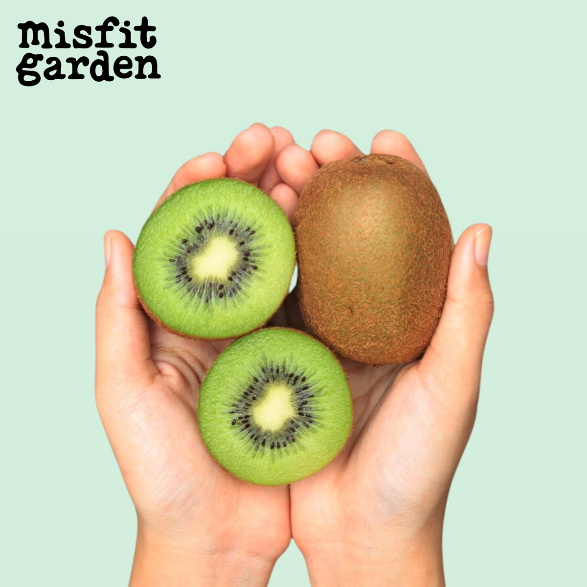 Add 600g Green Kiwi