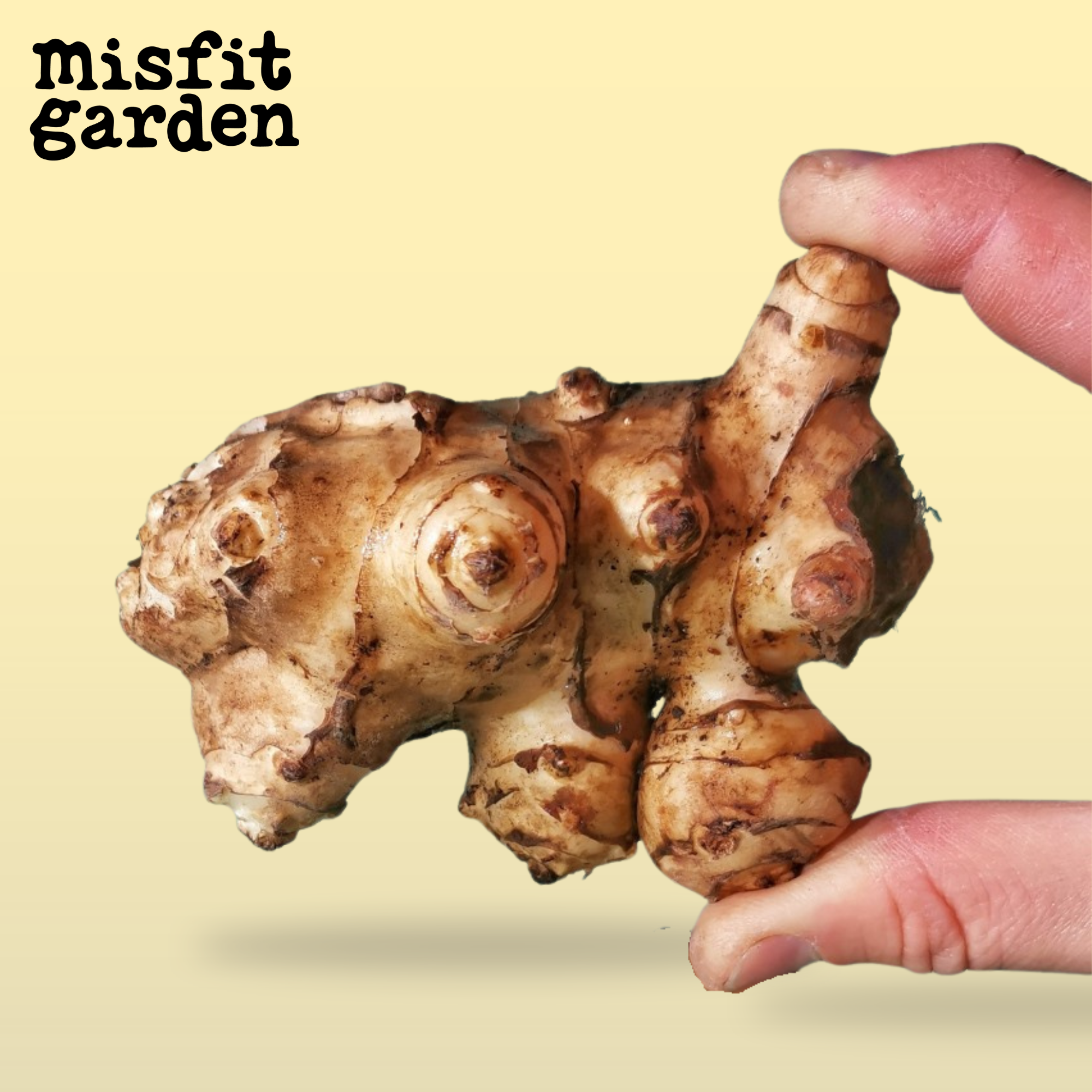 Add 500g Jerusalem Artichokes