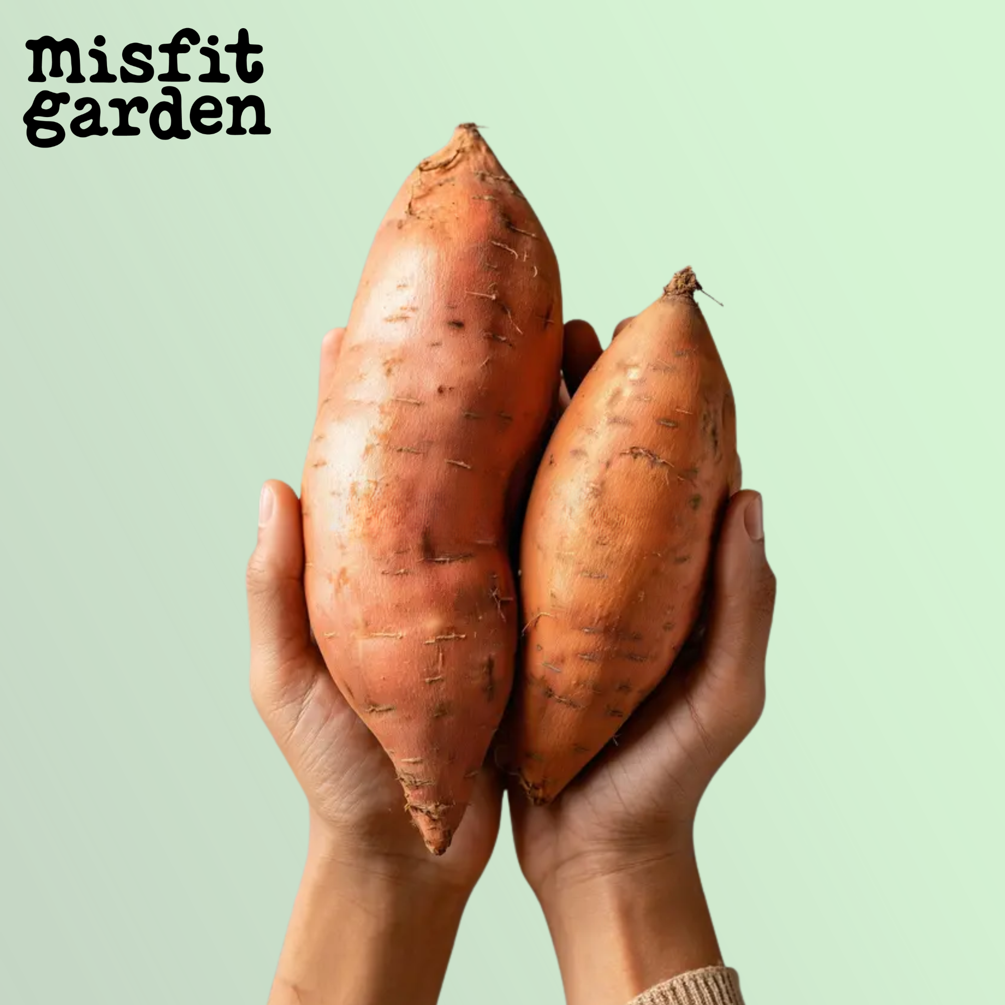 Add 750g Orange Kumara