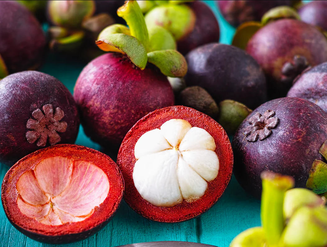 Why Subscribe? Misfit Garden