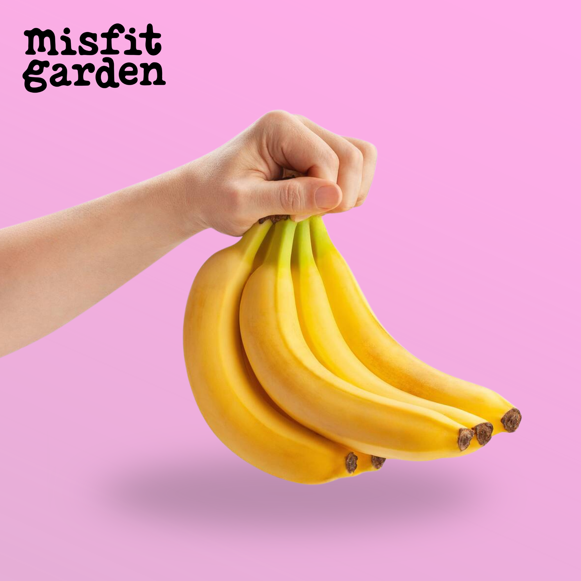 Add 1kg Bananas (import)