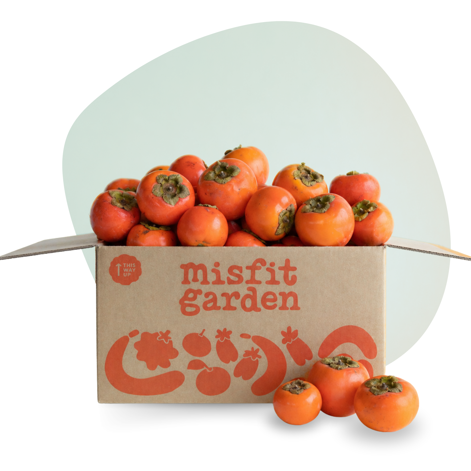 Persimmon Box (4kg)