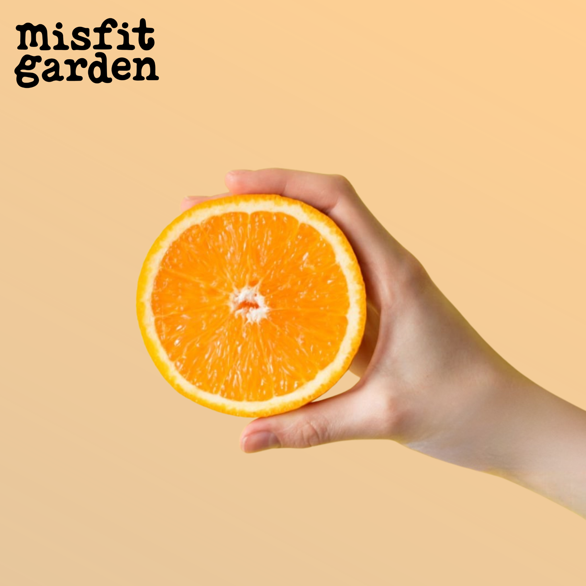 Add 750g Navel Oranges