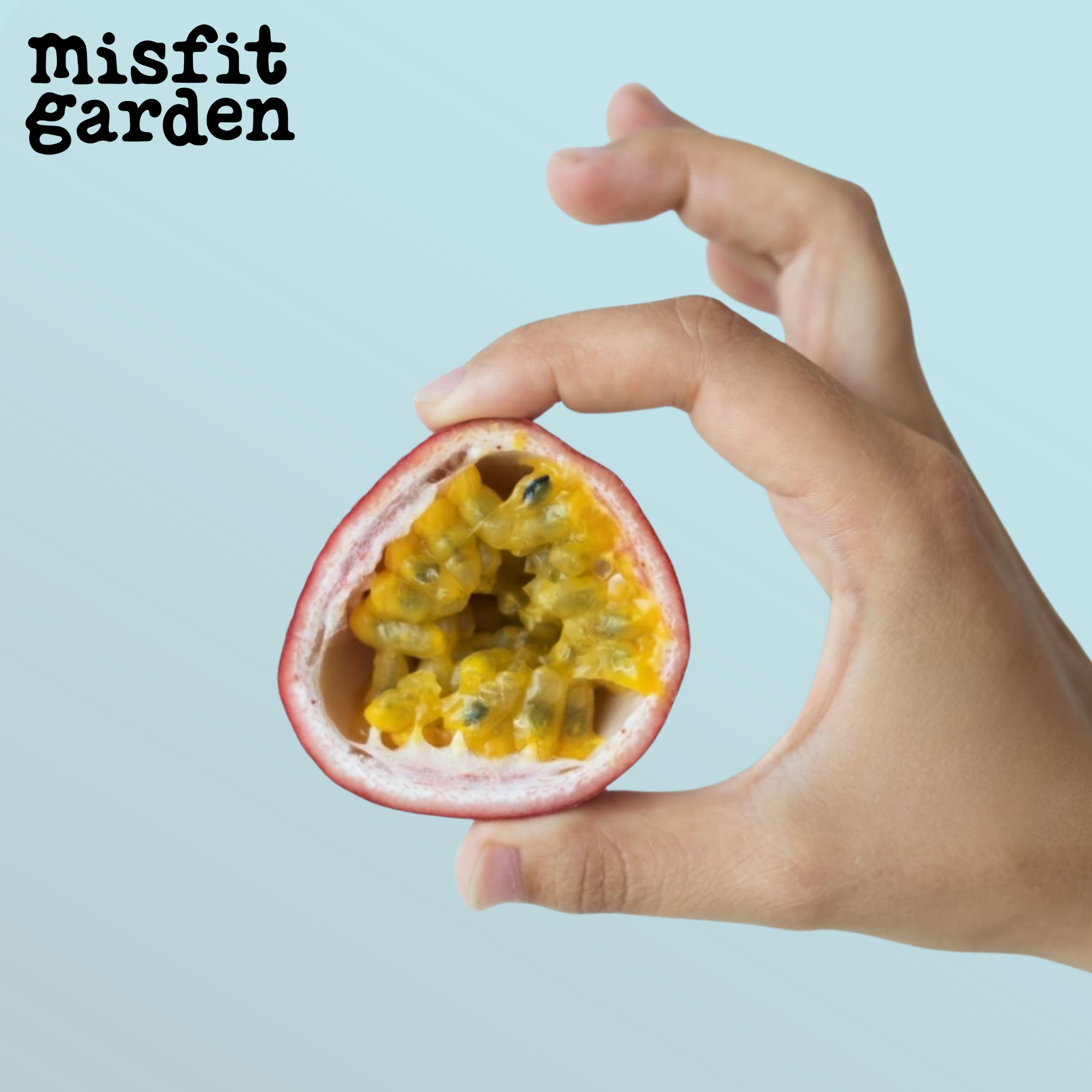 Add 200g Passionfruit (purple & gold mix)