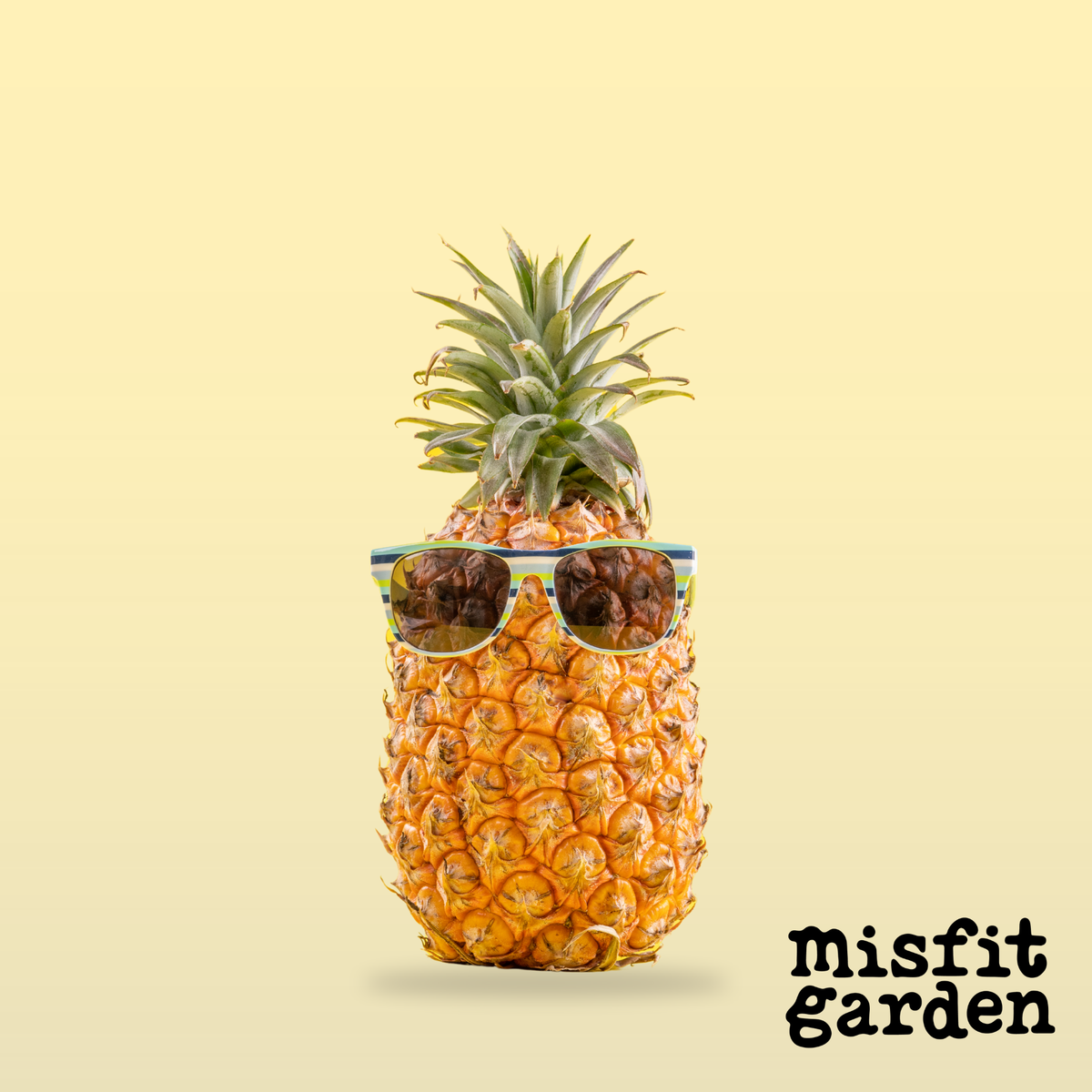 Add x1 Pineapple (import)