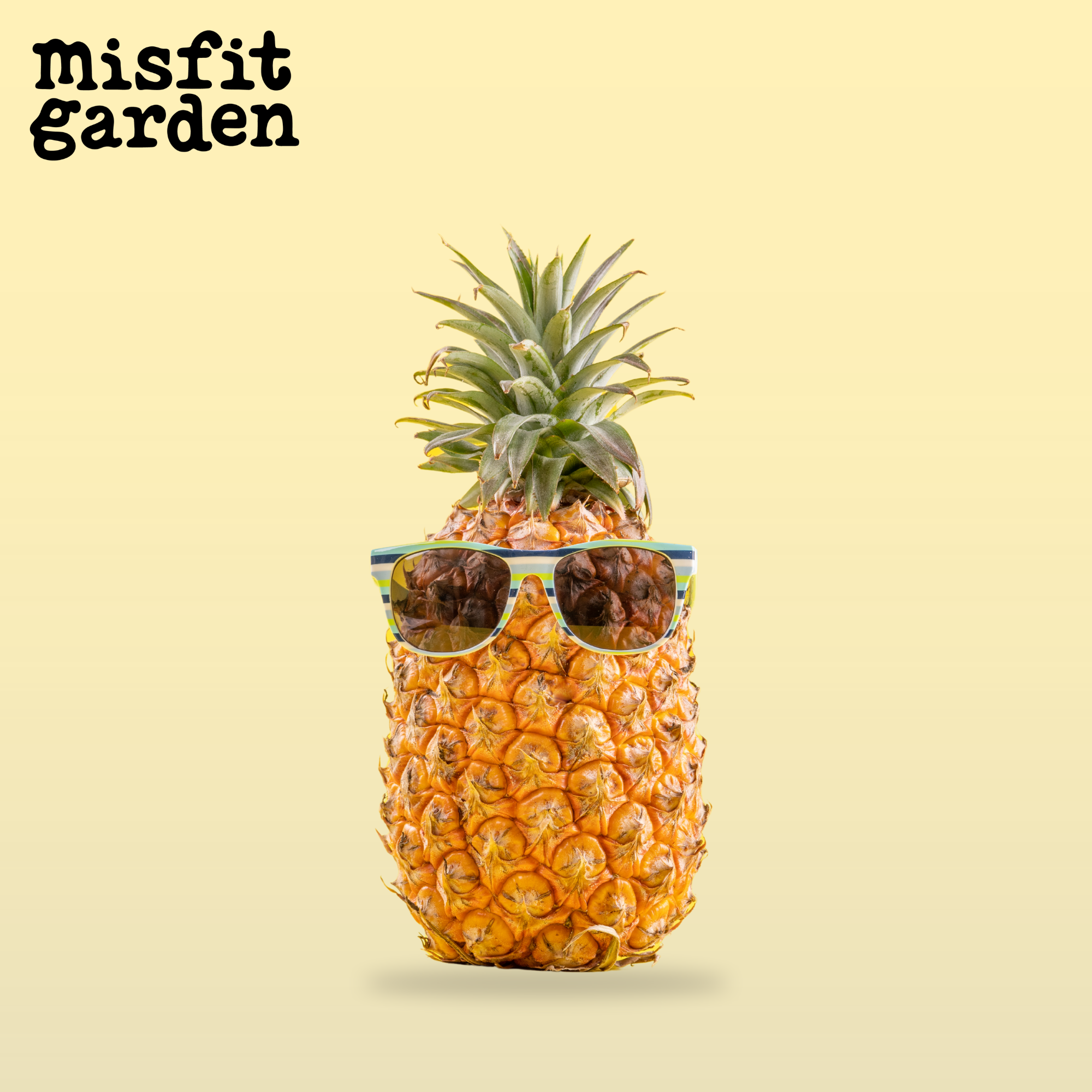 Add x1 Pineapple (import)