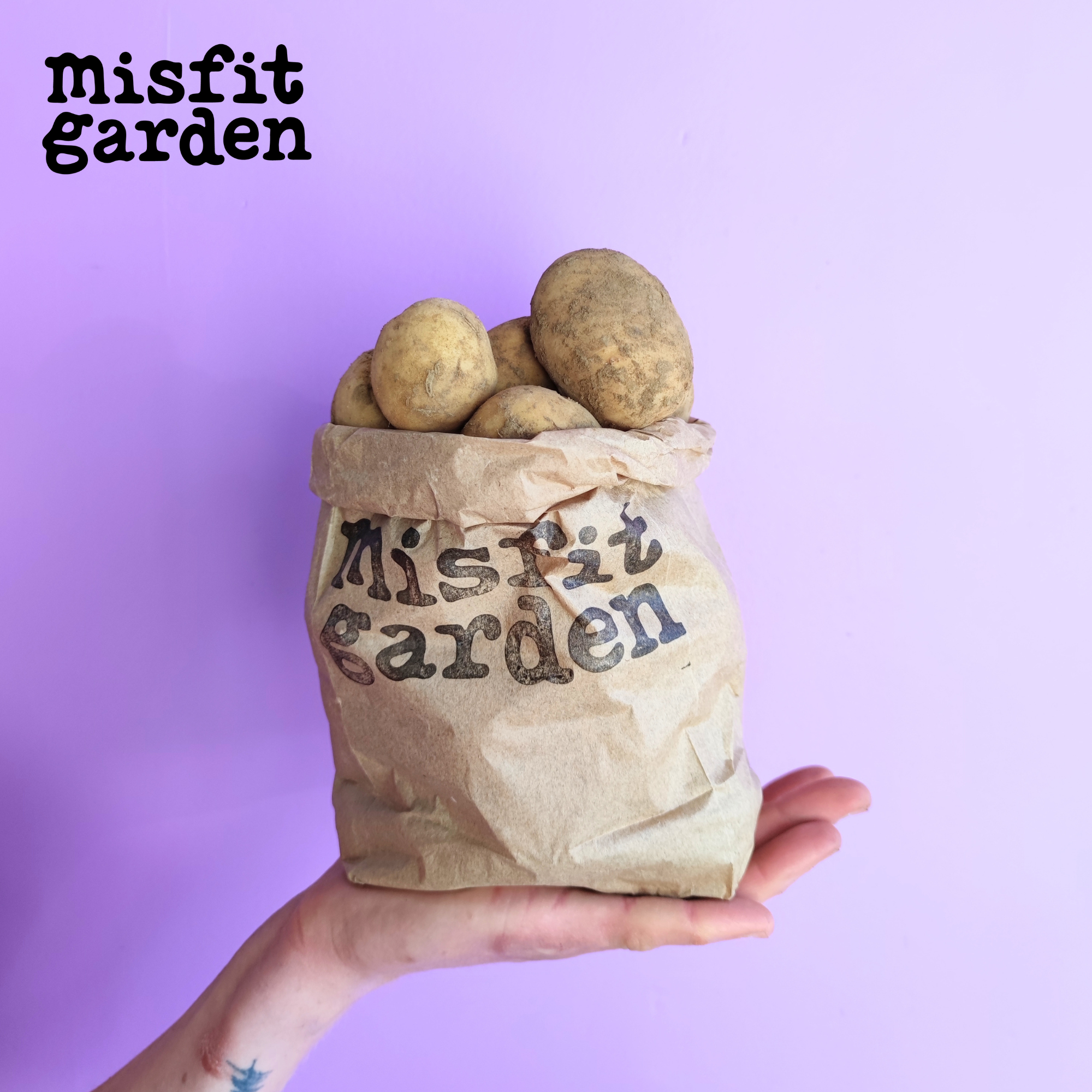 Add 1kg Agria Potato