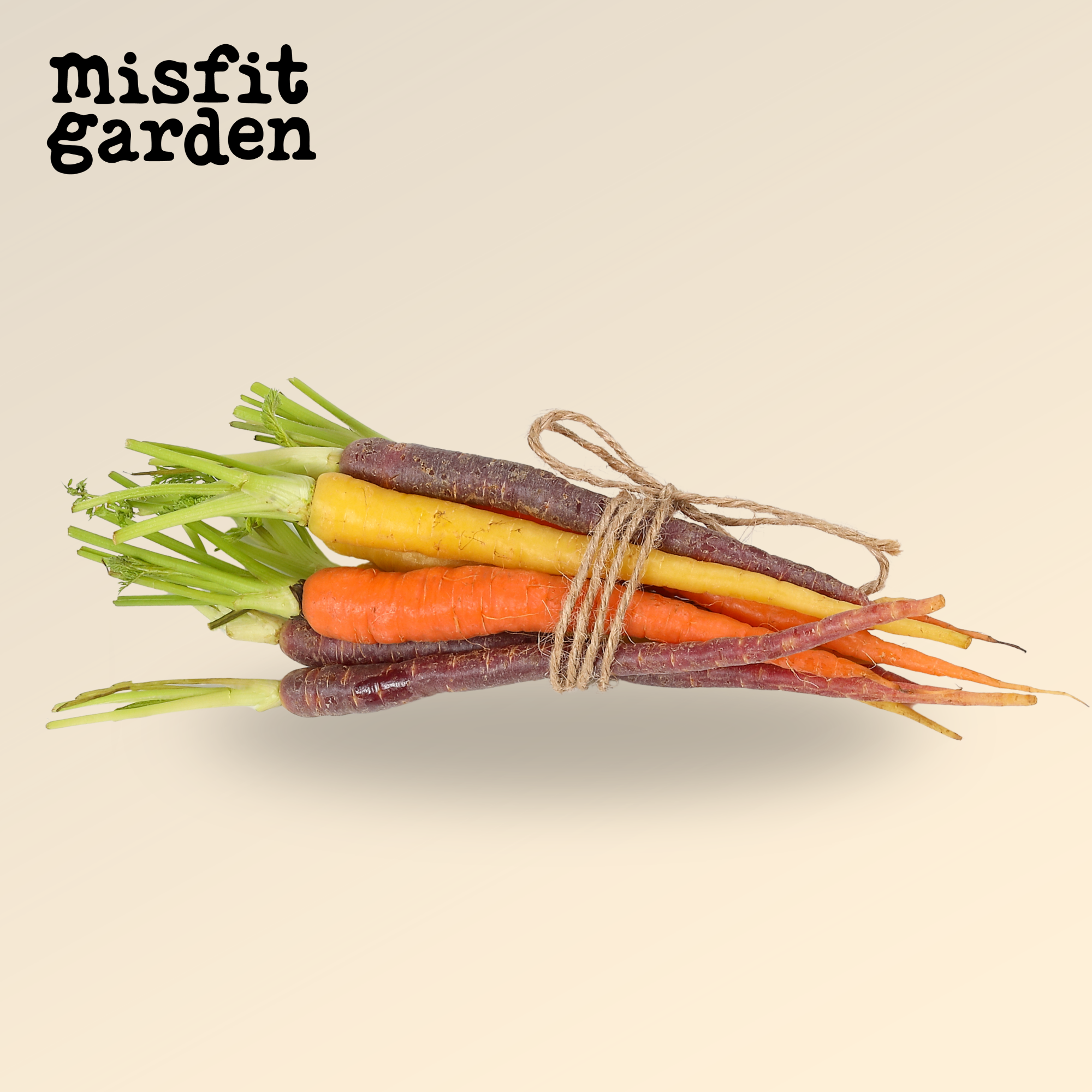 Add Rainbow Carrot Bunch