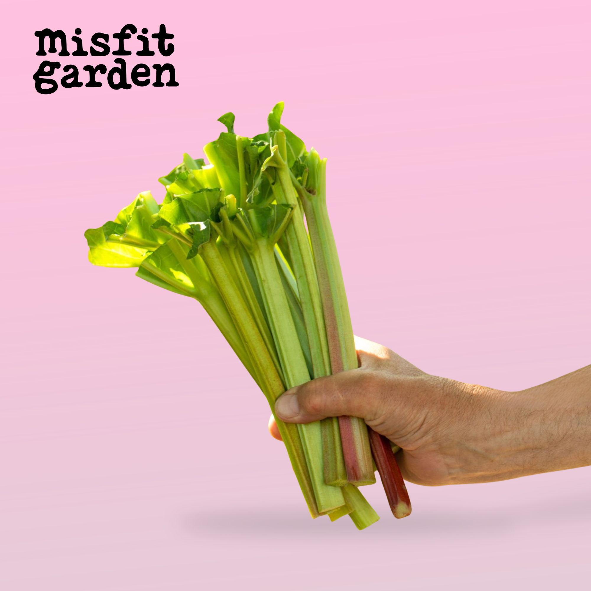 Add 450g Rhubarb