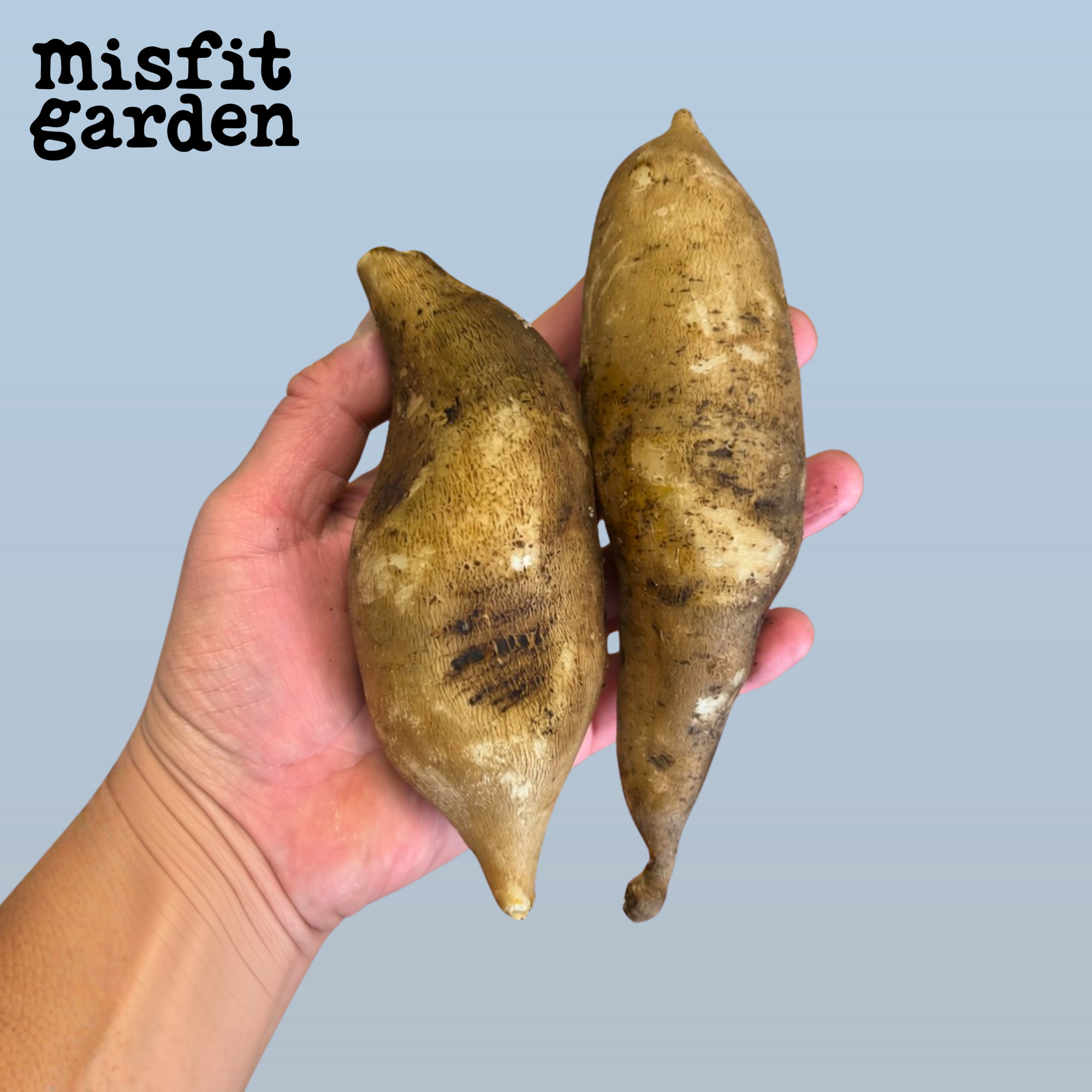 Add 700g Yacon Organic LIMITED