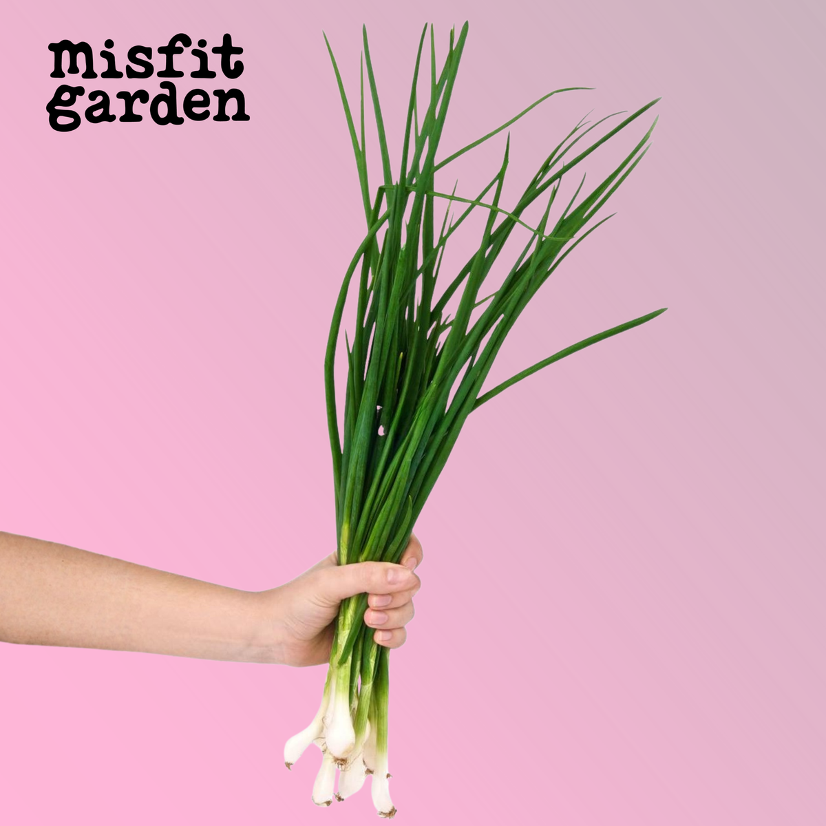 Add x1 Spring Onion Bunch