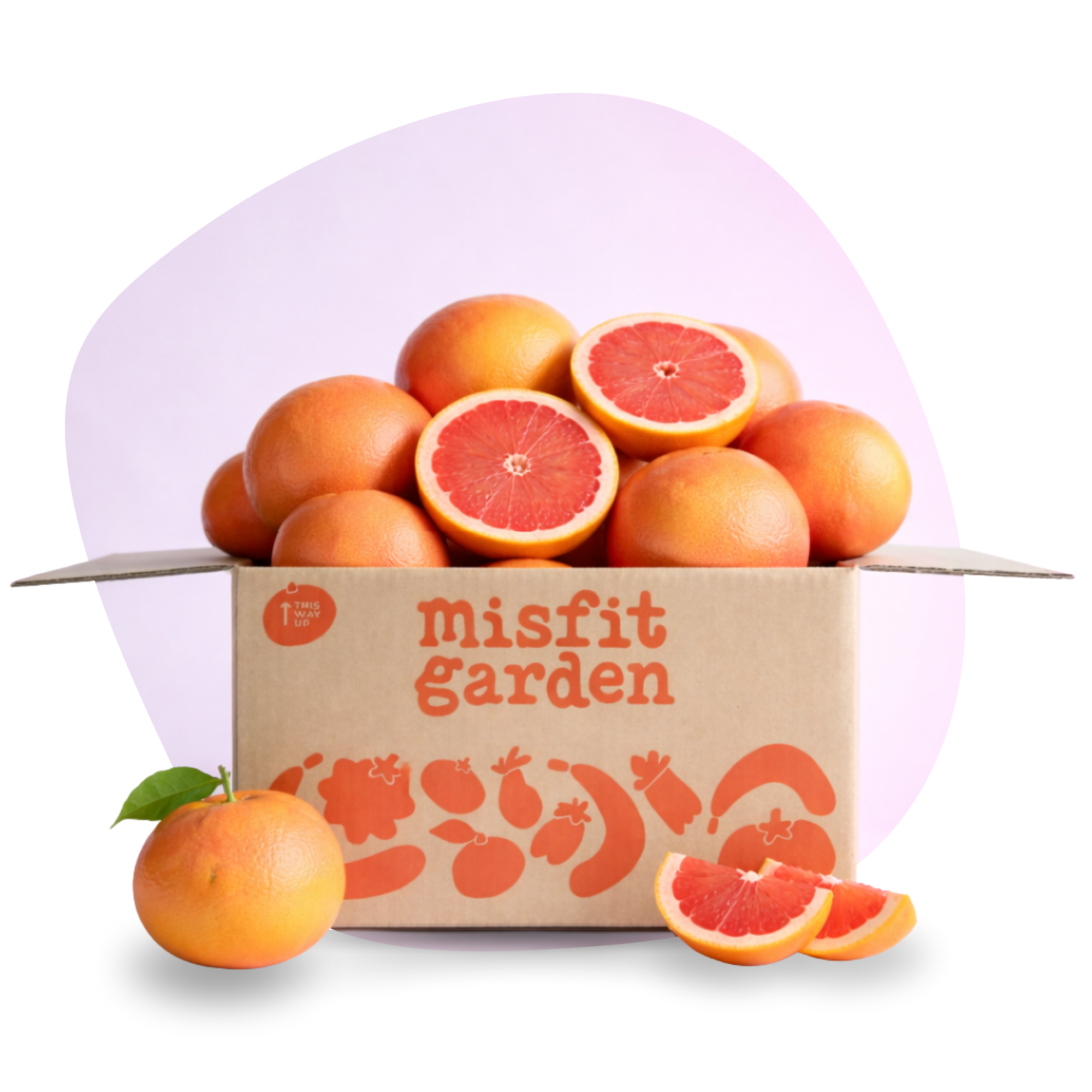 Ruby Grapefruit Box (4kg)