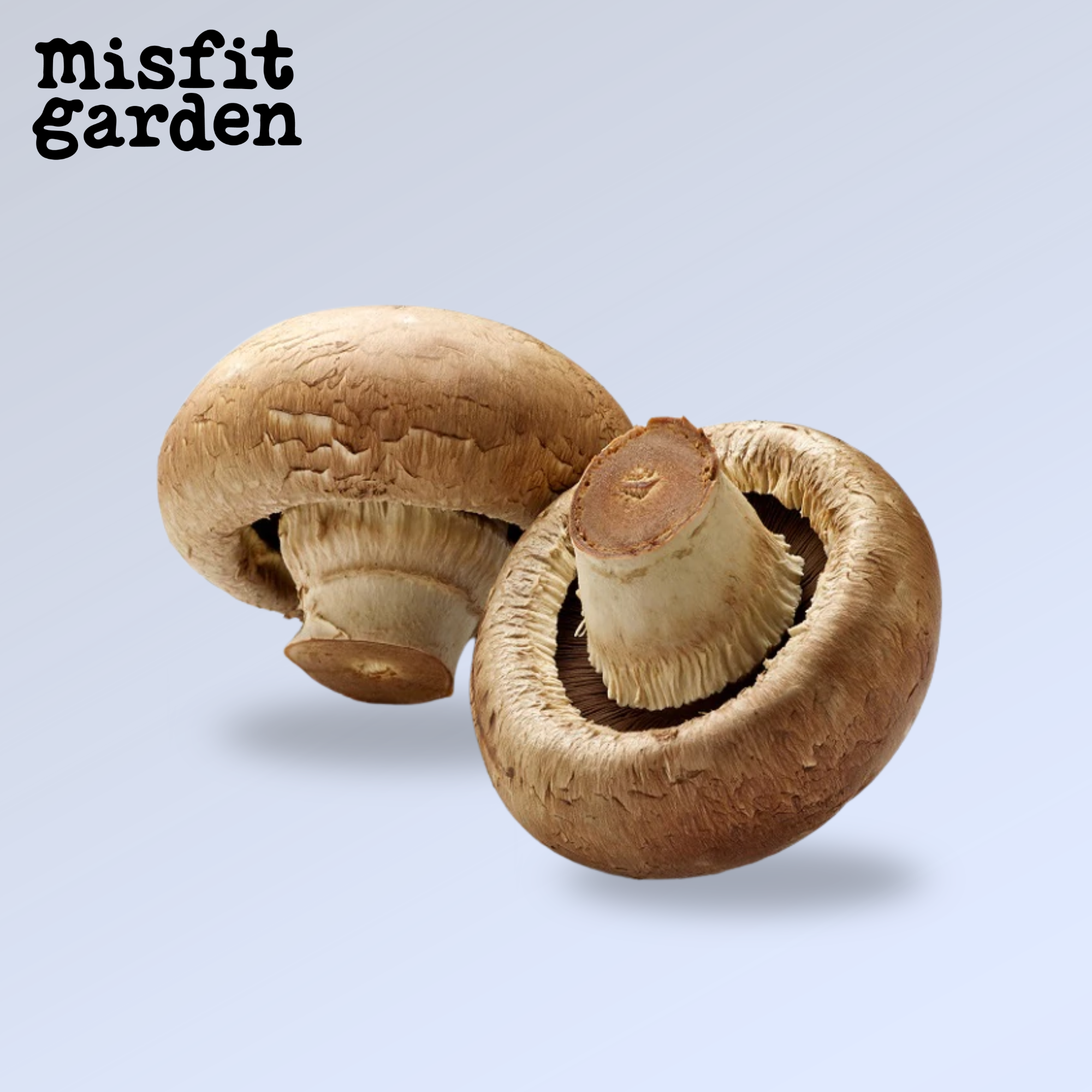 Add 300g Swiss Brown Mushroom