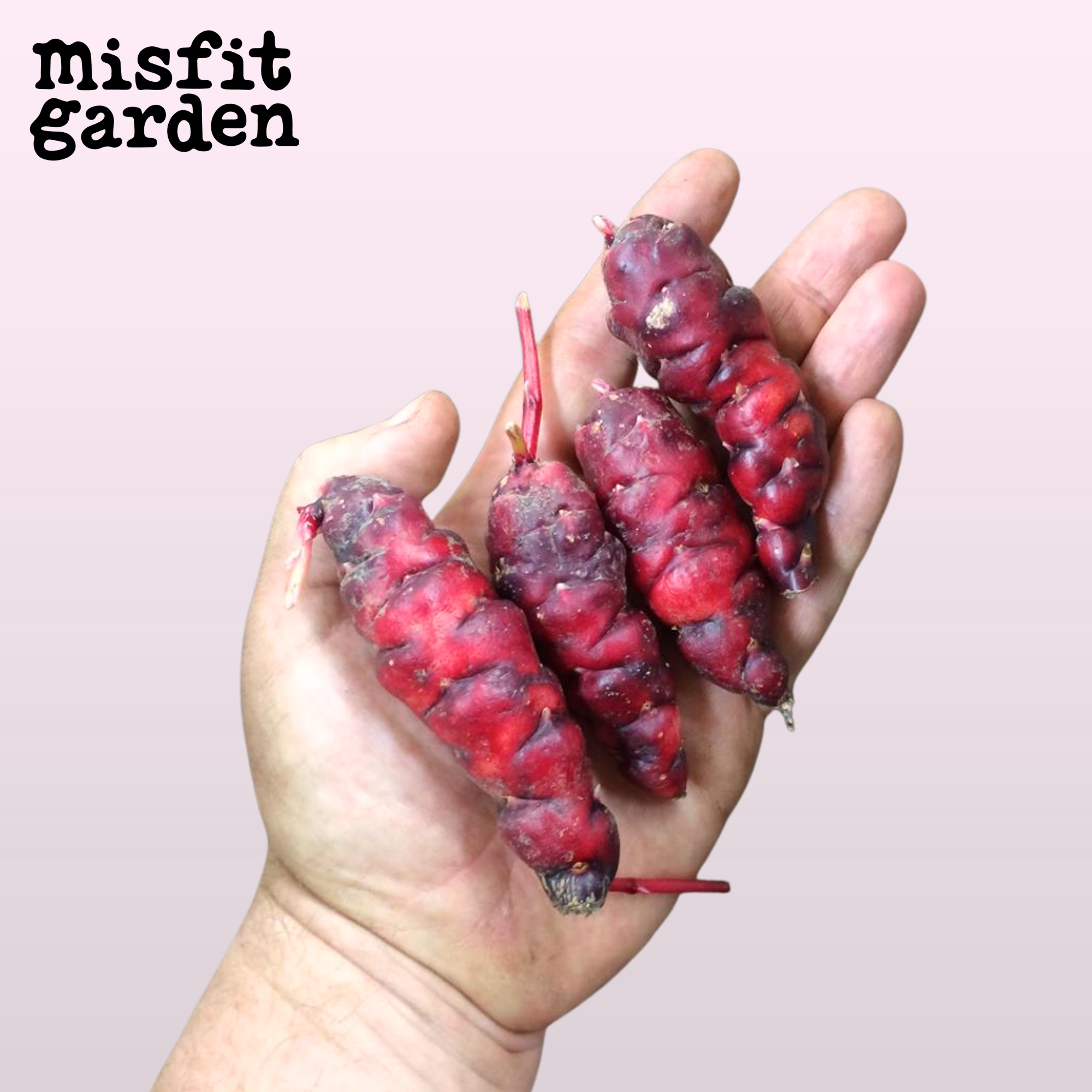 Add 400g Yams - NOW IN SEASON!